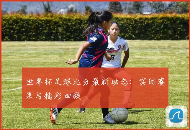 世界杯足球比分最新动态：实时赛果与精彩回顾