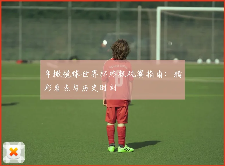 年橄榄球世界杯终极观赛指南:精彩看点与历史时刻