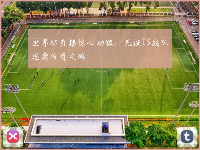世界杯直播惊心动魄，见证TS战队逆袭传奇之路