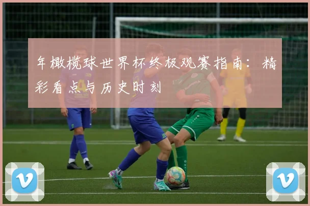 年橄榄球世界杯终极观赛指南:精彩看点与历史时刻