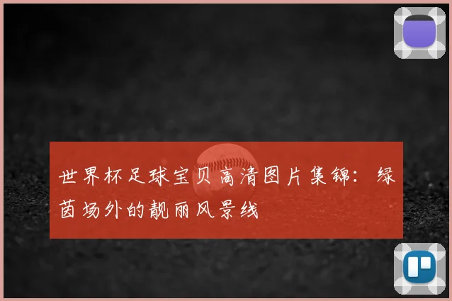 世界杯足球宝贝高清图片集锦：绿茵场外的靓丽风景线